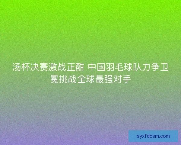 汤杯决赛激战正酣 中国羽毛球队力争卫冕挑战全球最强对手