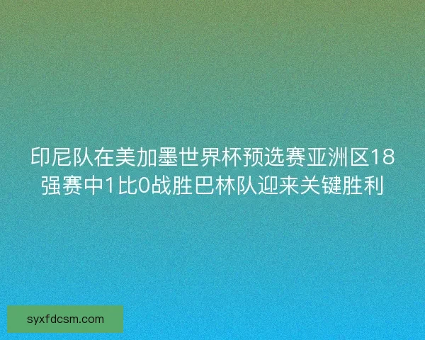 印尼队在美加墨世界杯预选赛亚洲区18强赛中1比0战胜巴林队迎来关键胜利