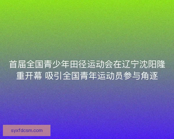 首届全国青少年田径运动会在辽宁沈阳隆重开幕 吸引全国青年运动员参与角逐