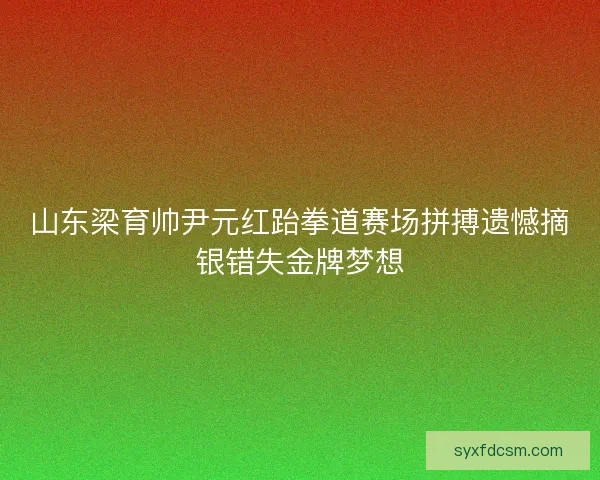 山东梁育帅尹元红跆拳道赛场拼搏遗憾摘银错失金牌梦想 山东梁育帅尹元红跆拳道赛场拼搏遗憾摘银错失金牌梦想