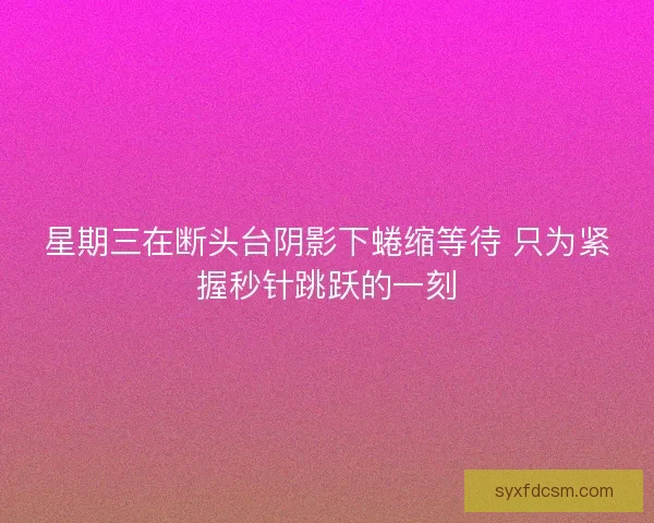 星期三在断头台阴影下蜷缩等待 只为紧握秒针跳跃的一刻 星期三在断头台阴影下蜷缩等待 只为紧握秒针跳跃的一刻