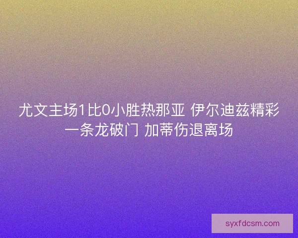 尤文主场1比0小胜热那亚 伊尔迪兹精彩一条龙破门 加蒂伤退离场